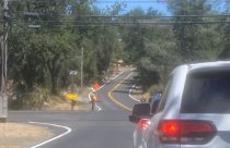 Flaggers directing traffic on Hwy 49 at Shaws Flat Road as stopsigns installed -- Photo by BJ Hansen