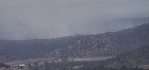 Update: Vegetation Fire In Jamestown