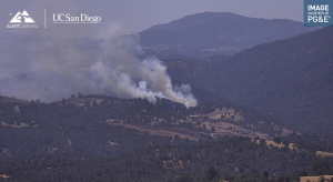 Fire at PAWS
