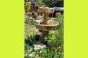 Tuolumne Master Gardener Nancy Bliss Photo for Waterwise Water Features