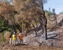 Inspecting Dove Fire impacts to identify potential hazards and determine what cleanup efforts may be needed—TCSO photo