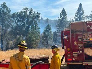 Update: Vegetation Fire In Calaveras