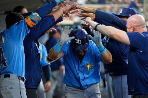 Rays Tigers Baseball