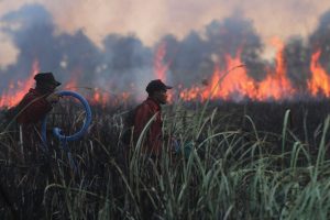 APTOPIX Indonesia Wildfires
