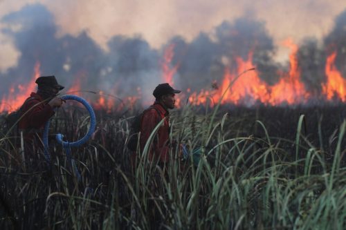 APTOPIX Indonesia Wildfires