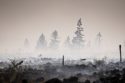 Belgium Wildfire