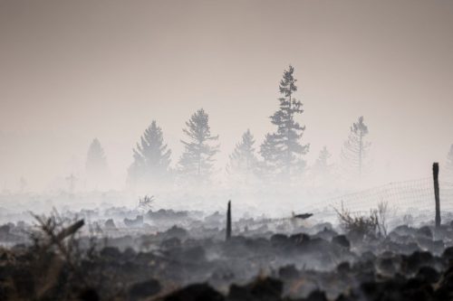 Belgium Wildfire