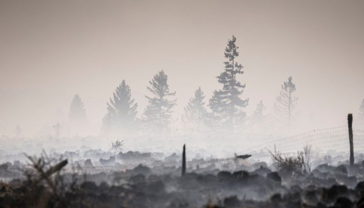 Belgium Wildfire