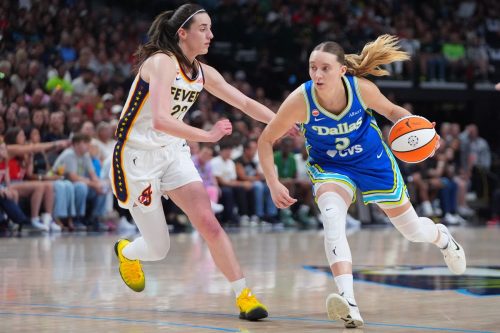 Fever Wings Basketball