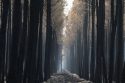 APTOPIX France Wildfires