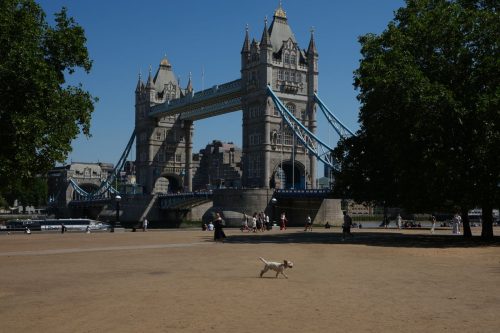 Britain records its hottest day of the year as summer heat grips parts of Europe, in photos