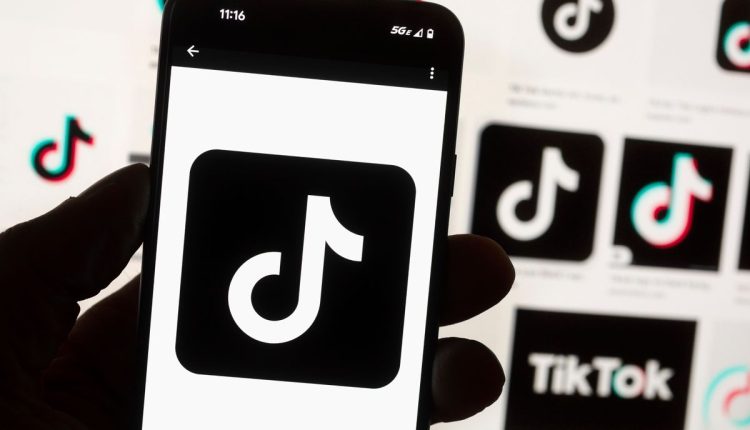 Belgium EU TikTok