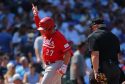 Reds Cubs Baseball