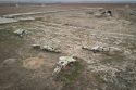 Syria Israel Turkey Tensions
