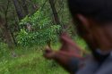 Nepal Monkeys Photo Essay