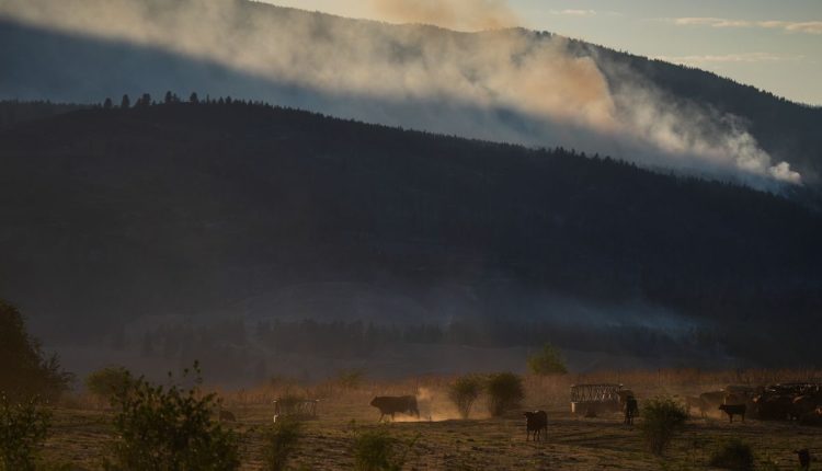 Canada Wildfires