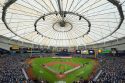 Rays Ballpark Baseball