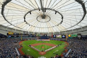 Rays Ballpark Baseball