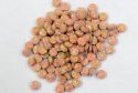 DEA Unseized Fentanyl