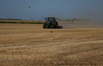 Netherlands Extreme Weather Drought