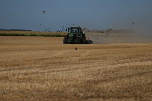 Netherlands Extreme Weather Drought