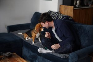 Gene-Edited Hypoallergenic Dogs