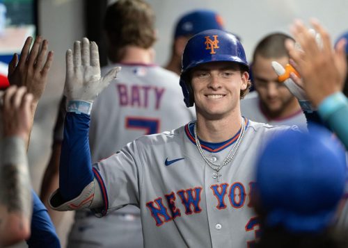 Mets Guardians Baseball