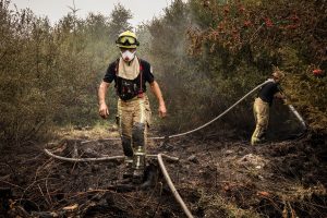 APTOPIX Belgium Wildfires