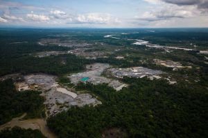Amazon Environmental Crime