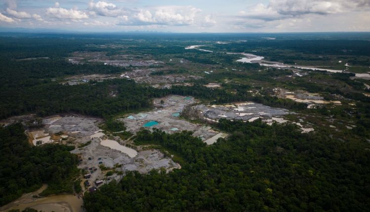 Amazon Environmental Crime