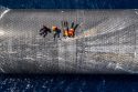 SpaceX Starship Recovery