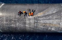 SpaceX Starship Recovery