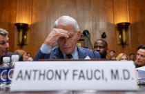 The top photos of the week by AP photojournalists