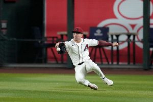 Cubs Diamondbacks Baseball