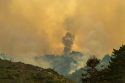 Western Wildfires
