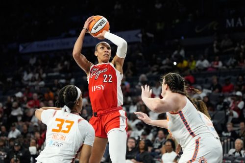 Sun Aces Basketball