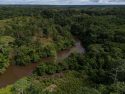 Colombia Deforestation Report