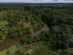 Colombia Deforestation Report
