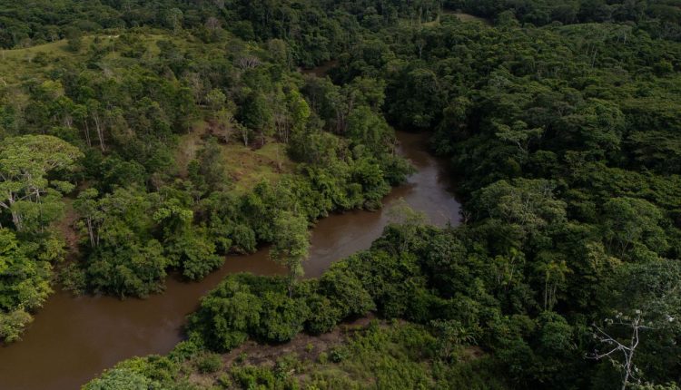 Colombia Deforestation Report