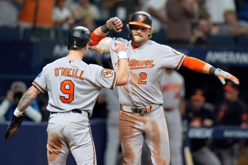 Orioles Rays Baseball