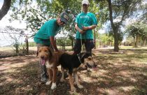Screwworm Animal Shelters