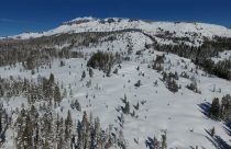 California Avalanche Fines