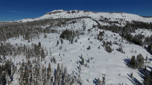 California Avalanche Fines