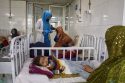 WFP Afghanistan Crisis