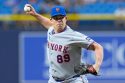 Mets Rays Baseball