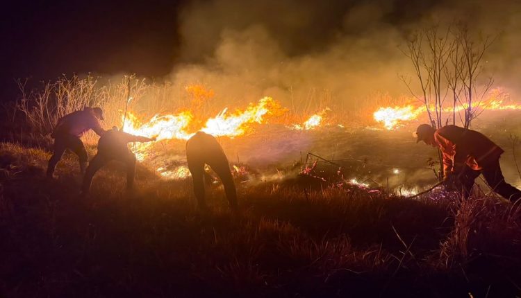 Indonesia Wildfire