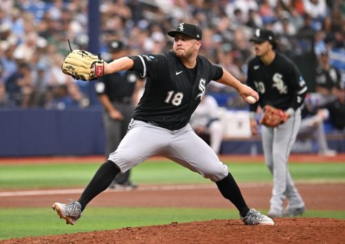 White Sox Rays Baseball