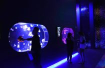 Florida Jellyfish Museum