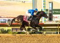 Del Mar Horse Racing