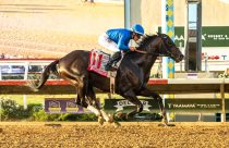 Del Mar Horse Racing
